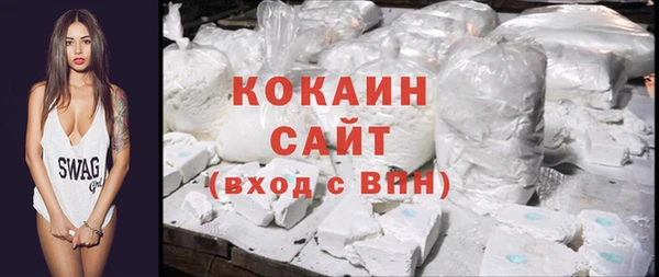 дживик Верхний Тагил