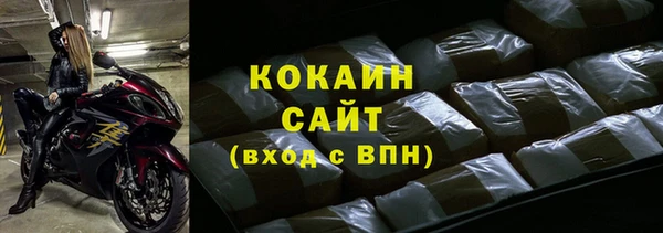 дживик Верхний Тагил