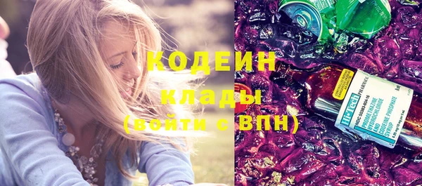дживик Верхний Тагил