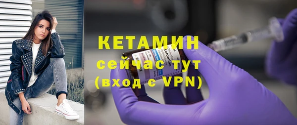 дживик Верхний Тагил