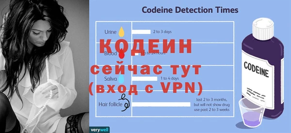дживик Верхний Тагил