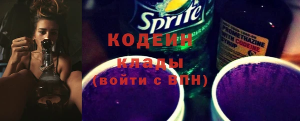 дживик Верхний Тагил