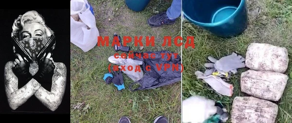 дживик Верхний Тагил