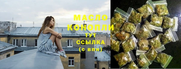 дживик Верхний Тагил