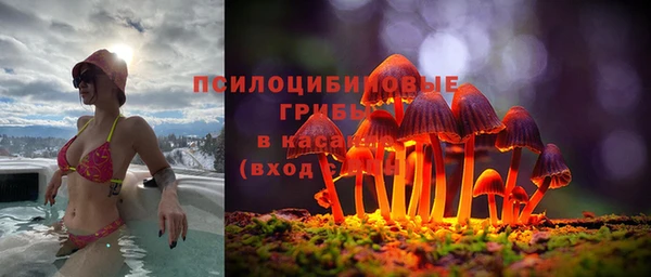 дживик Верхний Тагил