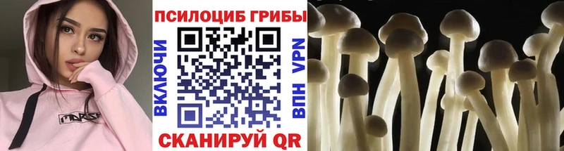 Галлюциногенные грибы мухоморы Шебекино