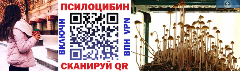 Псилоцибиновые грибы Magic Shrooms  где продают наркотики  Шебекино 