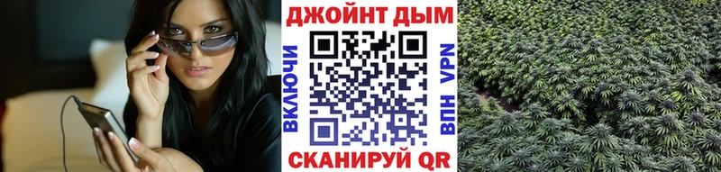 цена   Шебекино  Конопля SATIVA & INDICA 